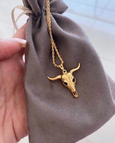 Colar New Long Horn